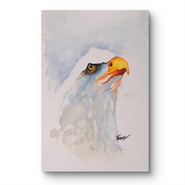 An Eagle's Gaze - Image 2