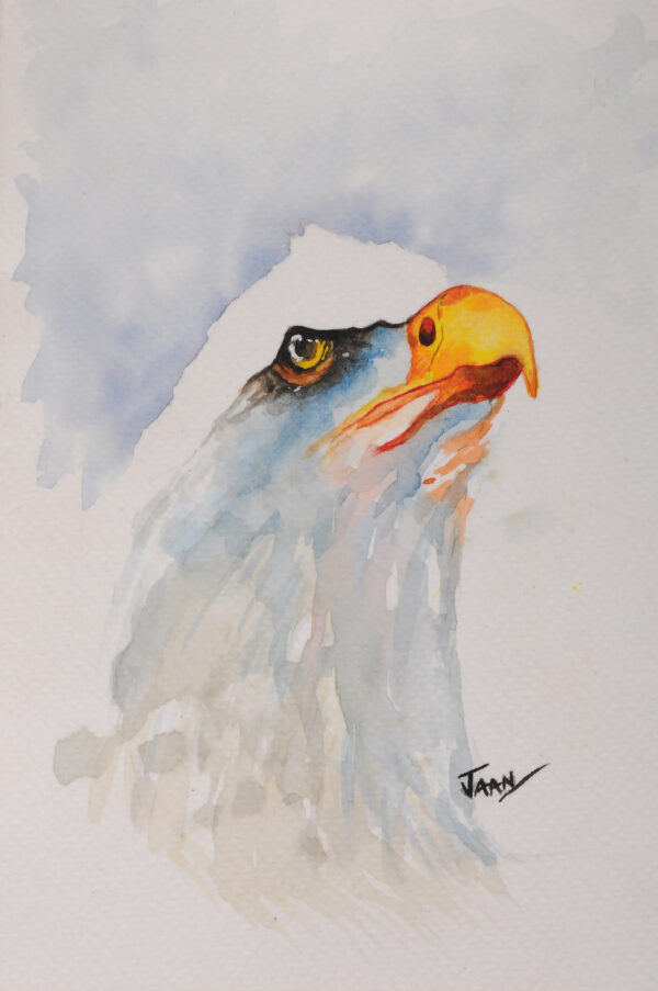 An Eagle's Gaze - Print - Image 2